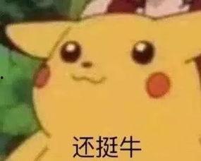 大哥请你吃瓜视频下载,揭秘热门视频背后的下载攻略  第3张