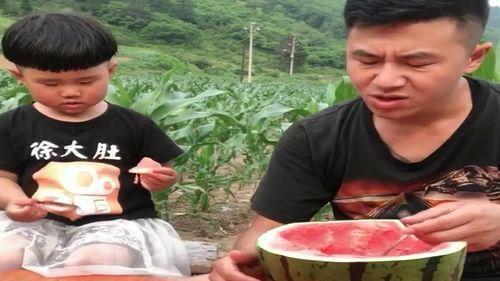 宝贝吃瓜比赛视频,萌娃欢乐秀，瓜果飘香童年趣  第2张