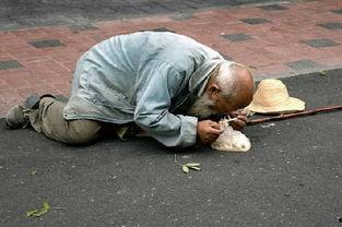 乞丐吃瓜视频大全,乞丐吃瓜视频大全趣味盘点  第2张