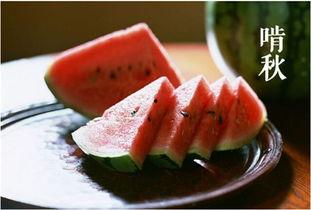 二瓜怎么吃才好吃视频播放,跟随视频学习最佳食用技巧  第2张