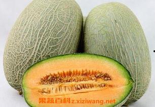 吃哈密瓜卡着怎么办啊视频,视频教你轻松应对