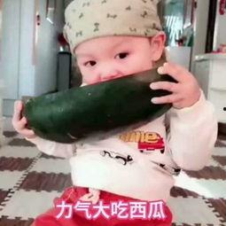 小浩吃瓜视频  第2张