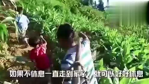 蛇姐吃瓜视频  第3张