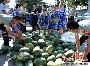 安徽定远吃瓜事件视频,一场网络热议的真相追踪  第3张
