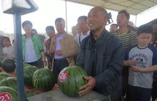 新乡吃瓜群众事件真相视频,真相视频曝光背后的故事  第3张