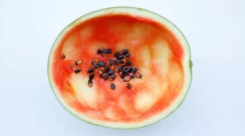 瓶子吃瓜原视频,揭秘网红美食背后的秘密  第2张