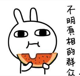 半夜吃瓜文案搞笑视频,笑料横生的半夜吃瓜视频大盘点  第2张