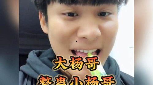 大杨哥和嘴哥吃哈密瓜视频,甜蜜瞬间尽收眼底  第3张