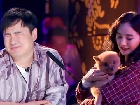 二舅吃瓜视频,揭秘网络红人背后的故事