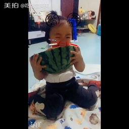 东子带你吃瓜搞笑视频,搞笑视频集锦大放送