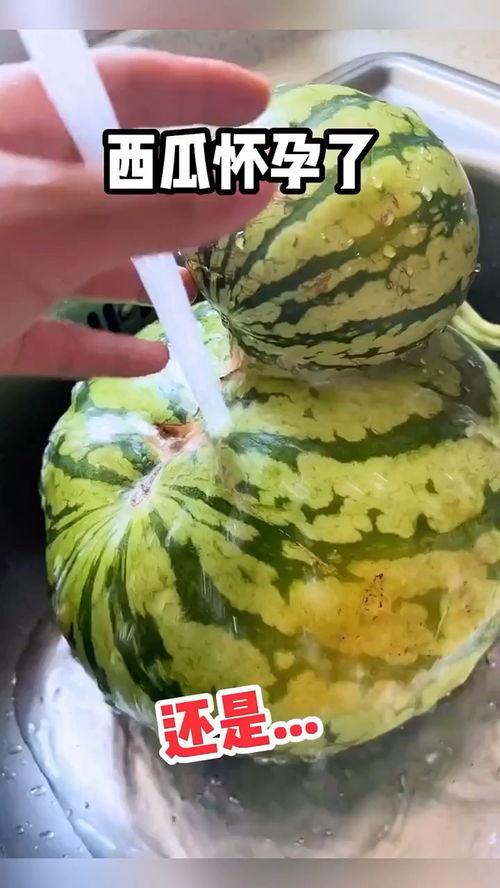 吃瓜视角搞笑视频大全,笑料横生！吃瓜群众必看的搞笑视频大盘点  第3张