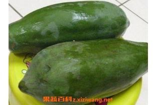 瓜哥吃木瓜籽视频大全,木瓜籽大揭秘，视频大全带你领略美味与营养  第3张