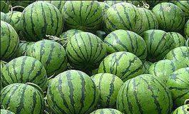 泡泡吃瓜视频地址,带你领略网络红人的魅力瞬间  第2张