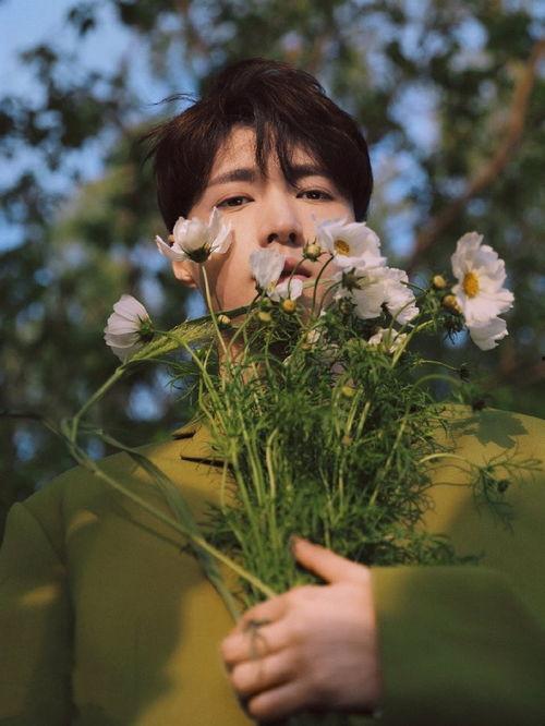 18岁吃瓜视频,揭秘网络世界的青春热点