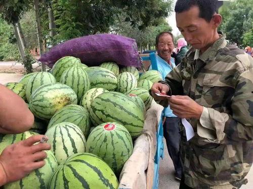 金昌老汉吃瓜视频,一场接地气的乡村生活秀
