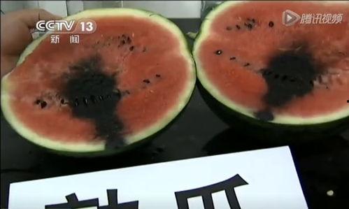 各类吃瓜视频  第3张