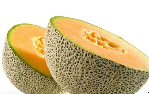 哺乳猫吃哈密瓜好吗视频,哈密瓜对哺乳猫的益处揭秘