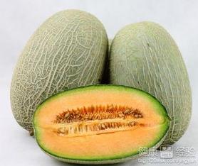 哺乳猫吃哈密瓜好吗视频,哈密瓜对哺乳猫的益处揭秘  第2张