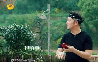 乡村吃瓜事件真相视频,真相视频曝光背后的惊人内幕  第2张