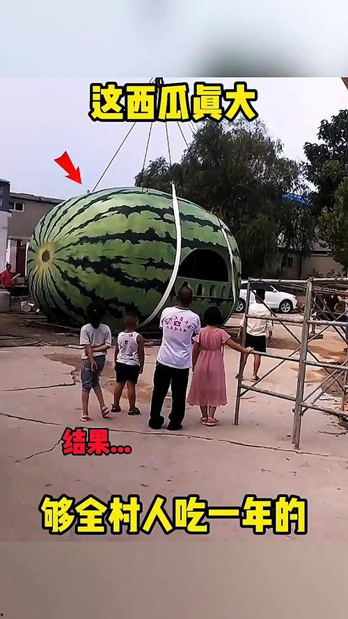 图文搞笑吃瓜视频,图文视频带你领略“瓜界”风云  第3张