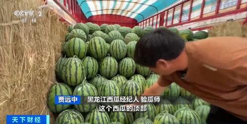 小杨哥楼顶吃瓜视频,揭秘网红生活幕后真相  第2张