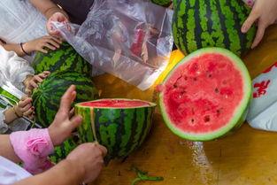 吃瓜视频合法吗,合法边界与网络伦理探讨  第3张