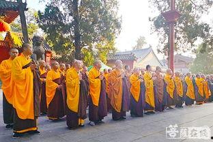 嵩山少林寺吃瓜视频,揭秘僧侣日常饮食之谜  第3张