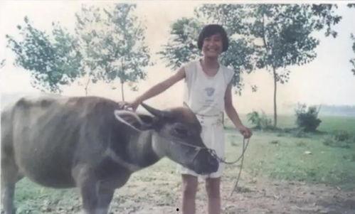 农村放牛吃瓜视频大全,农村放牛吃瓜欢乐时光大盘点  第3张