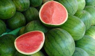 大瓜吃瓜的视频大全下载  第2张