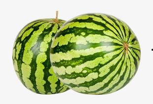 大瓜吃瓜的视频大全下载  第3张