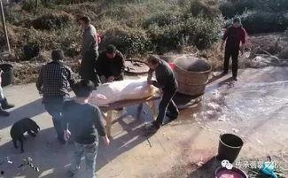 民间灵异事件吃瓜视频,吃瓜群众视角下的神秘现象  第2张