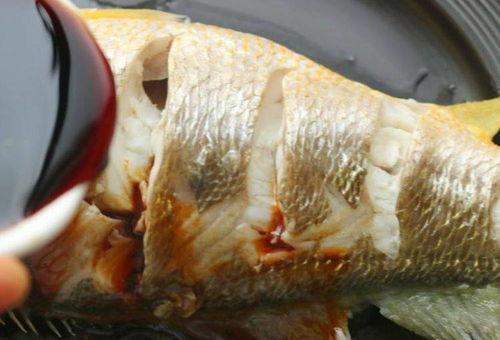 糟瓜鱼小朋友可以吃吗视频,安全与营养并重