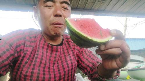 甘肃老汉吃瓜视频大全最新,夏日乡村趣味生活大揭秘