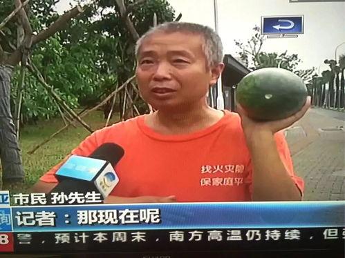 热门事件吃瓜曝光视频大全,热门事件吃瓜曝光视频大盘点  第2张