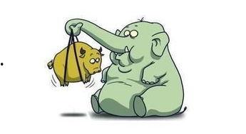 美国散户吃瓜视频,揭秘美国股市“吃瓜”现象背后的故事